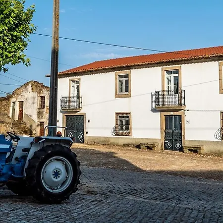 Rosa Xvi - Garden 3* Vilar Torpim