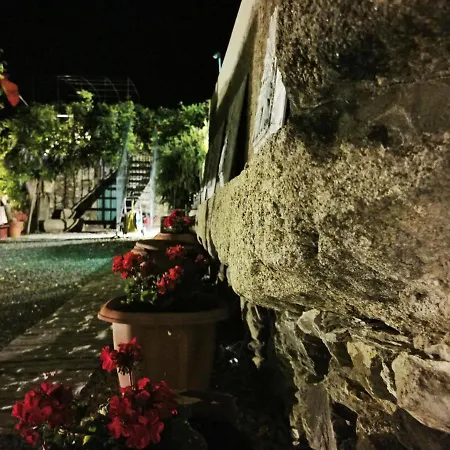 Rosa Xvi - Garden Πανσιόν