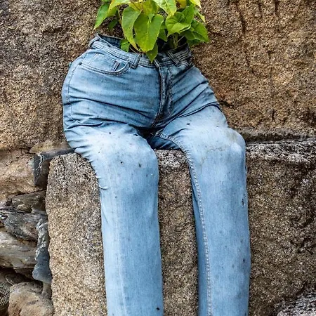 Πανσιόν Rosa Xvi - Garden 3*