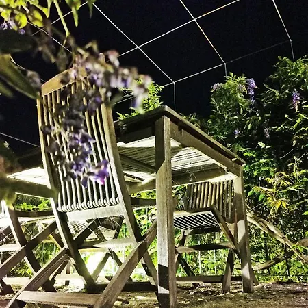 Rosa Xvi - Garden Πανσιόν