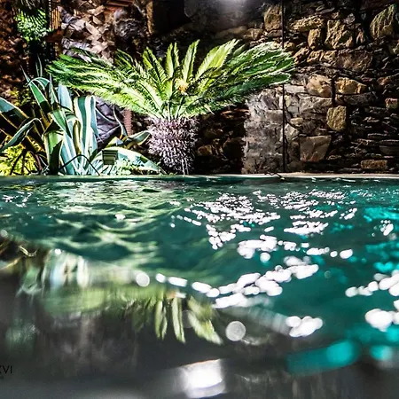 Rosa Xvi - Garden Πανσιόν