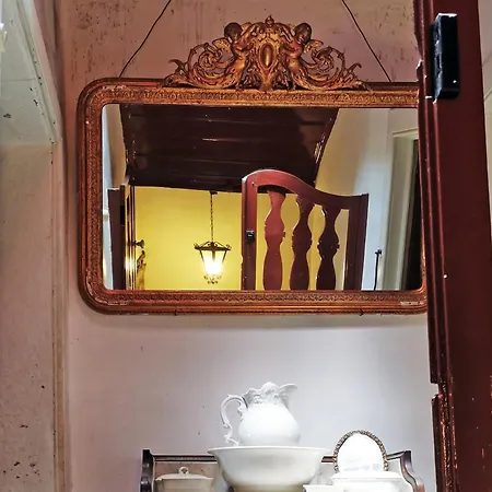 Rosa Xvi - Garden 3*