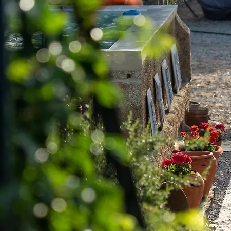Guest house Rosa Xvi - Garden