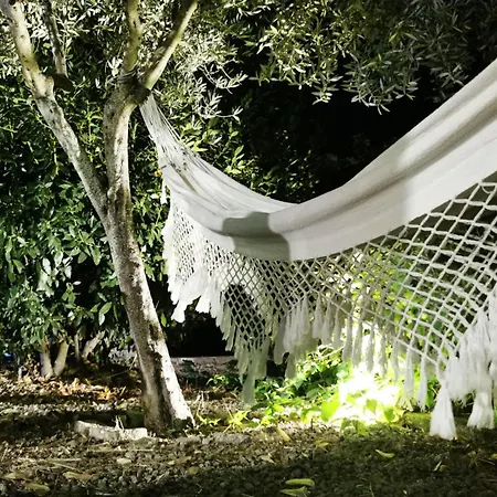 Rosa Xvi - Garden Πανσιόν Vilar Torpim