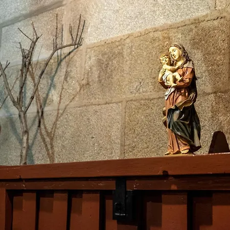 Rosa Xvi - Garden Vilar Torpim