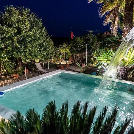 Rosa Xvi - Garden Guest house