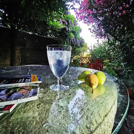 Πανσιόν Rosa Xvi - Garden Vilar Torpim