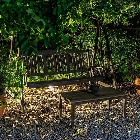 Πανσιόν Rosa Xvi - Garden