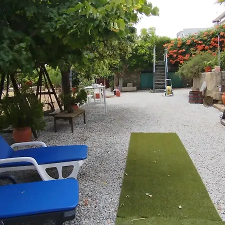 Rosa Xvi - Garden Vilar Torpim