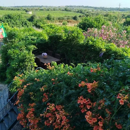 Rosa Xvi - Garden 3* Vilar Torpim