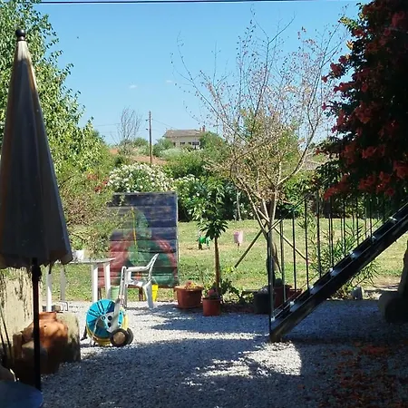 Rosa Xvi - Garden בית הארחה *