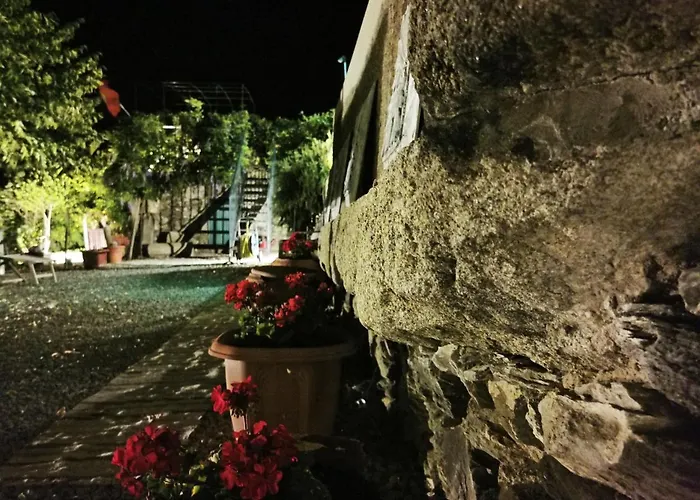 Rosa Xvi - Garden ゲストハウス