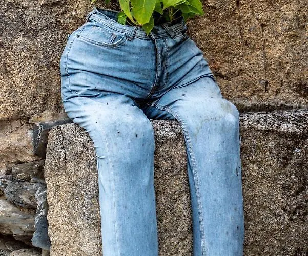 ゲストハウス Rosa Xvi - Garden 3*