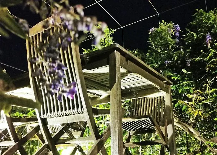 Rosa Xvi - Garden ゲストハウス