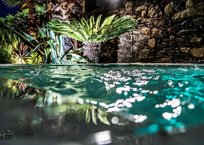 Rosa Xvi - Garden ゲストハウス