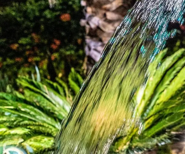 ゲストハウス Rosa Xvi - Garden