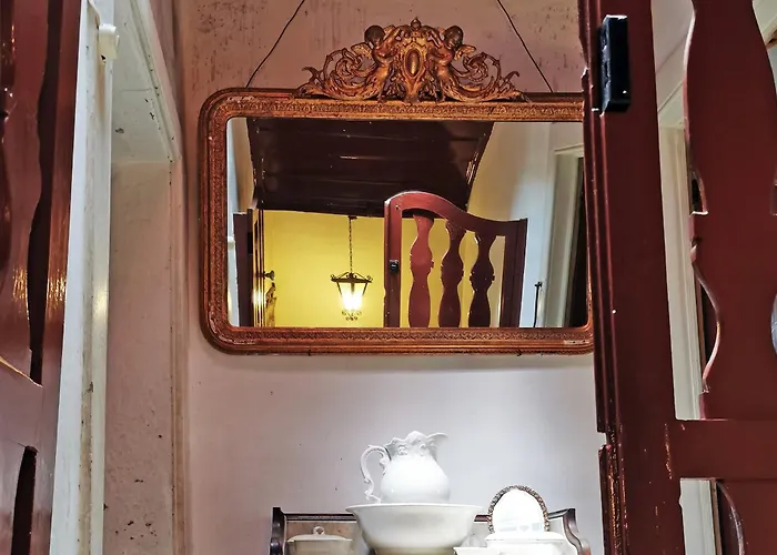 Rosa Xvi - Garden 3*