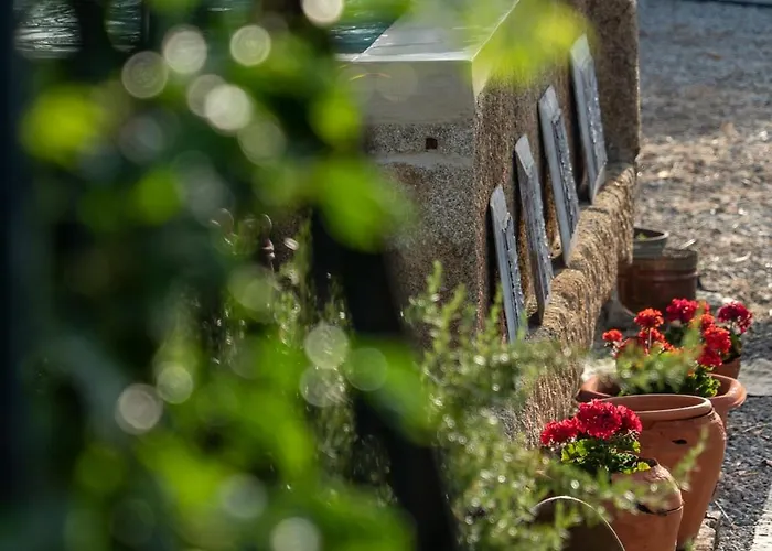 ゲストハウス Rosa Xvi - Garden