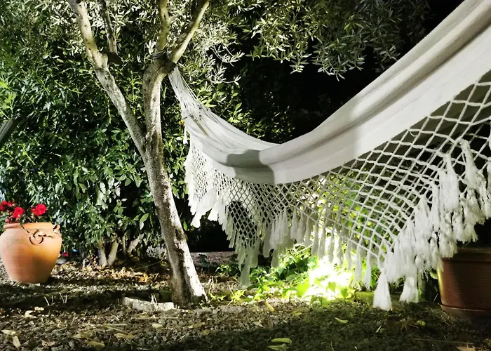 Rosa Xvi - Garden ゲストハウス Vilar Torpim