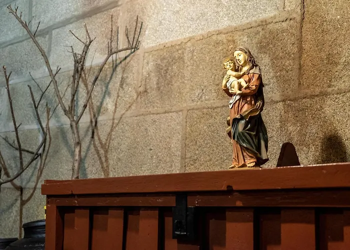 Rosa Xvi - Garden Vilar Torpim