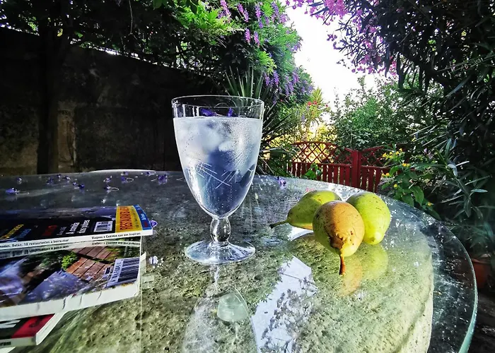 ゲストハウス Rosa Xvi - Garden Vilar Torpim