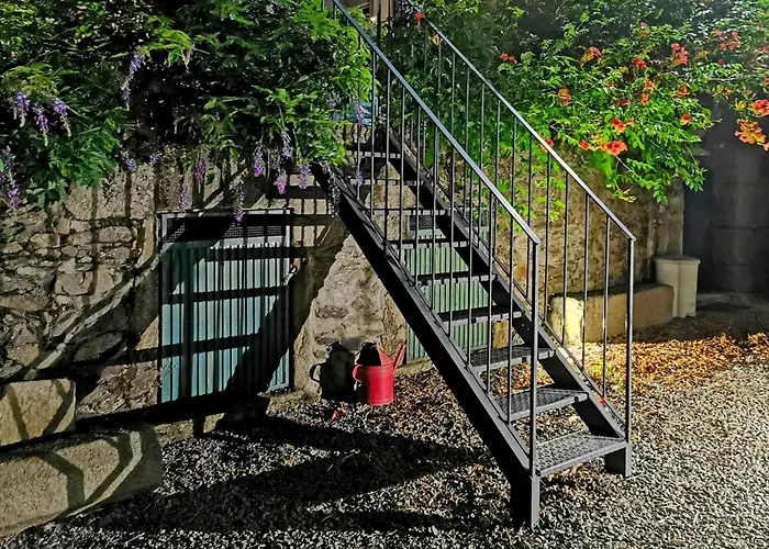 Rosa Xvi - Garden 3* Vilar Torpim