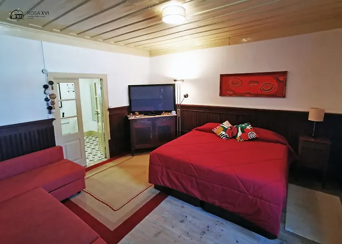 ゲストハウス Rosa Xvi - Garden