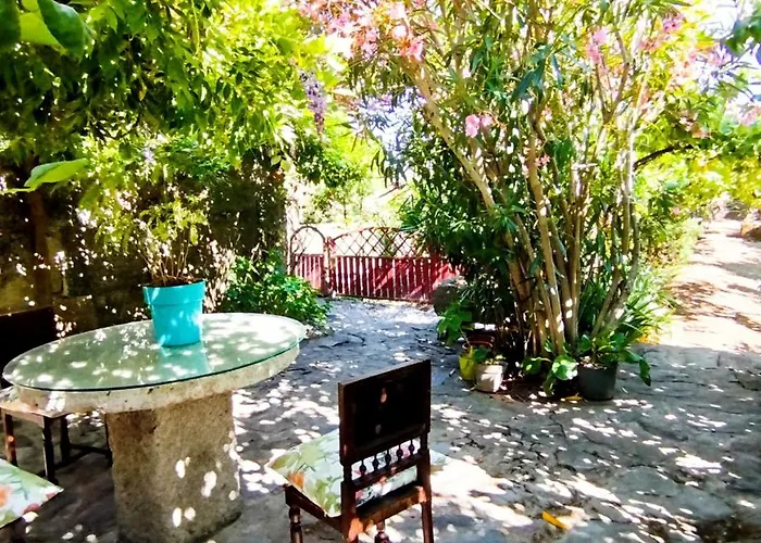 Rosa Xvi - Garden 3*