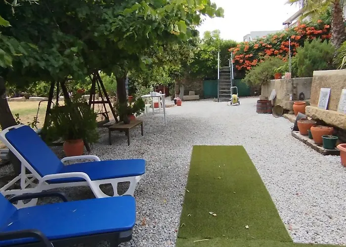 Rosa Xvi - Garden Vilar Torpim