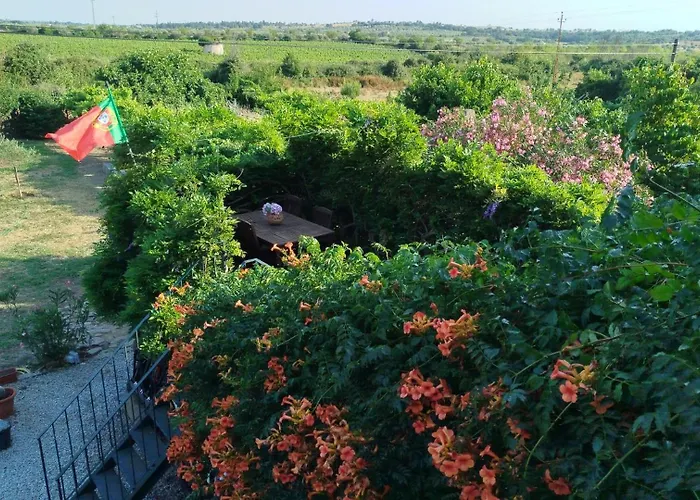 Rosa Xvi - Garden 3* Vilar Torpim